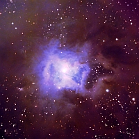 NGC 7023; Iris Nebula